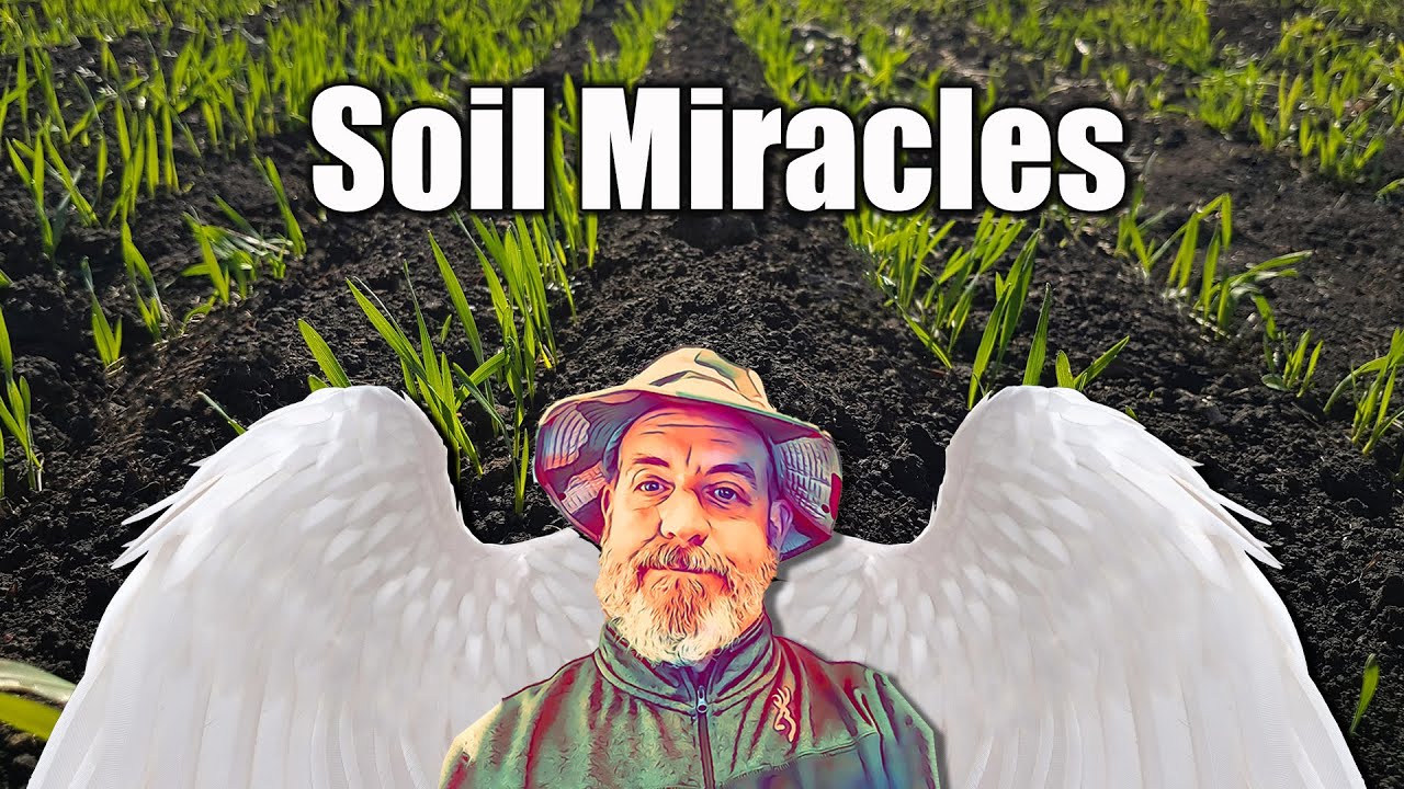 Improving Soils with Microbes and Carbon
