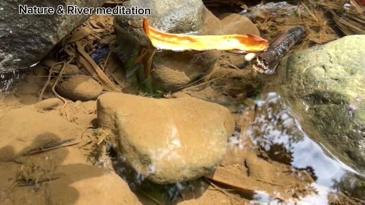 ASMR natural river sounds in the middle of a tropical forest — perfect for relaxation, sleeping
