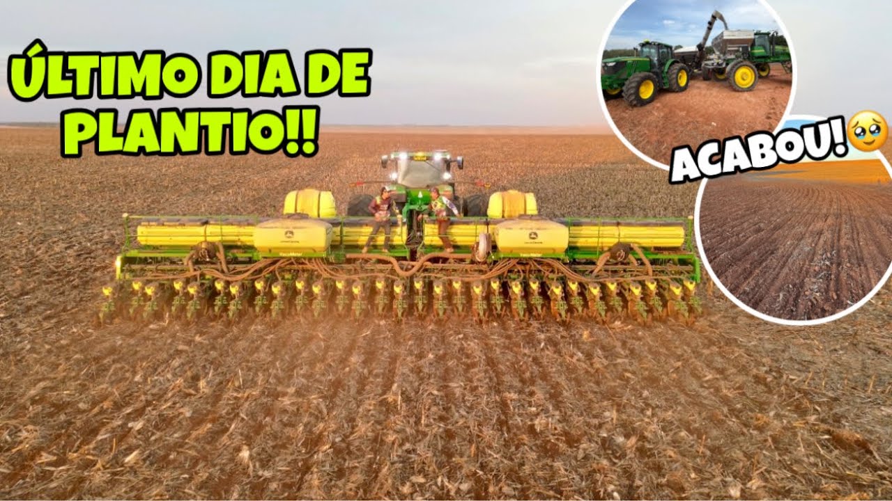 18 dias de plantio!!! 1420 hectares plantado✅
