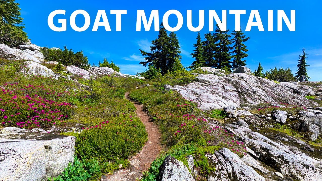 One of the most beautiful hikes in North Vancouver:  Goat Mountain & Goat Ridge Peak