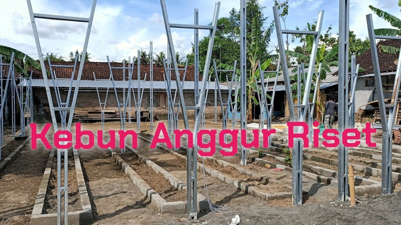 Kebun Anggur Riset