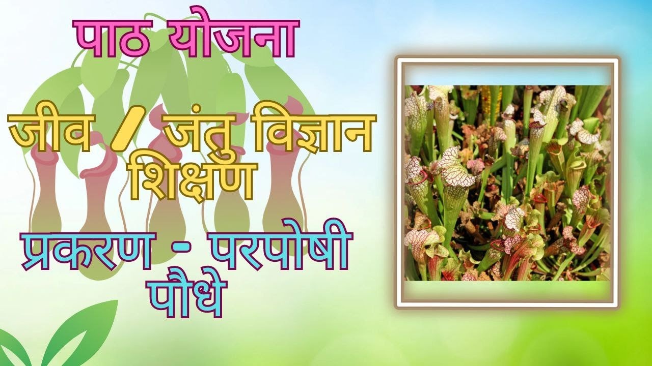 B.Ed Lesson Plan For Biology In Hindi | Jantu/Jiv Vigyan Ka Path Yojna Hindi Me ( Paraposhi Paudhe)