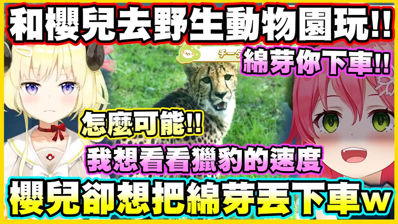 綿芽和櫻兒去野生動物園玩!!櫻兒卻想把綿芽丟下車w【角巻わため】【角卷綿芽】【さくらみこ】【Vtuber中文翻譯】