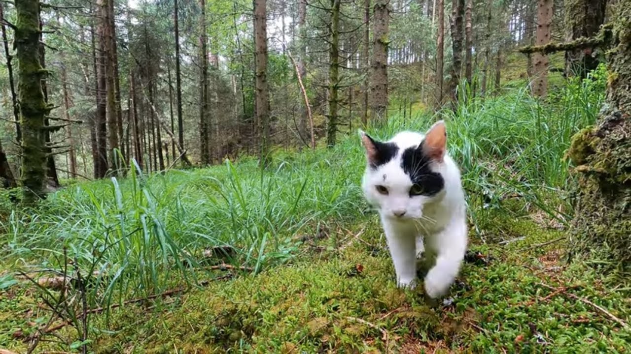 There's so much to explore! SheDigs!
