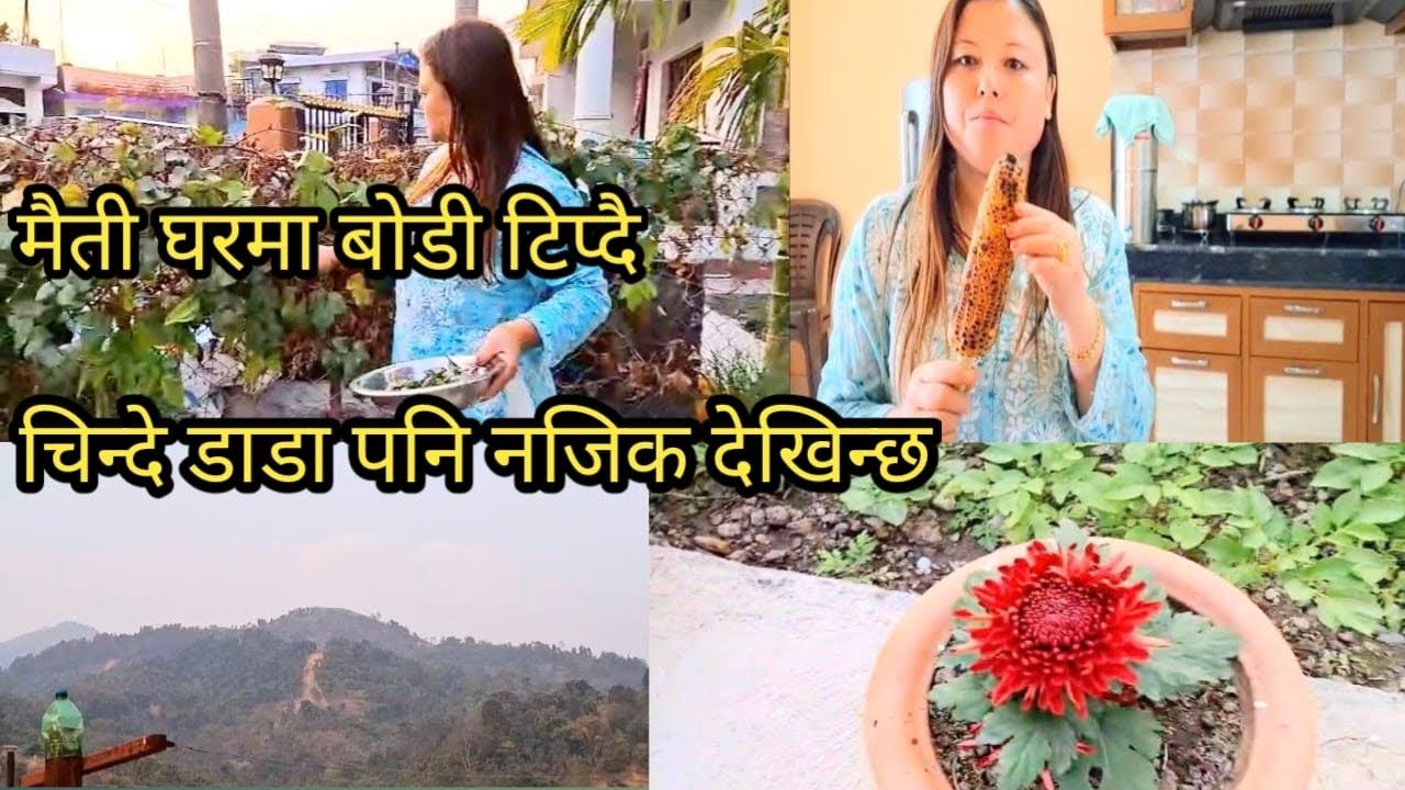 धेरई पछी मोमी लाई भेटनू आज जादई | dherai din pachi maiti jadai | @kushumraisherpa10 | @Sherpavlog99.