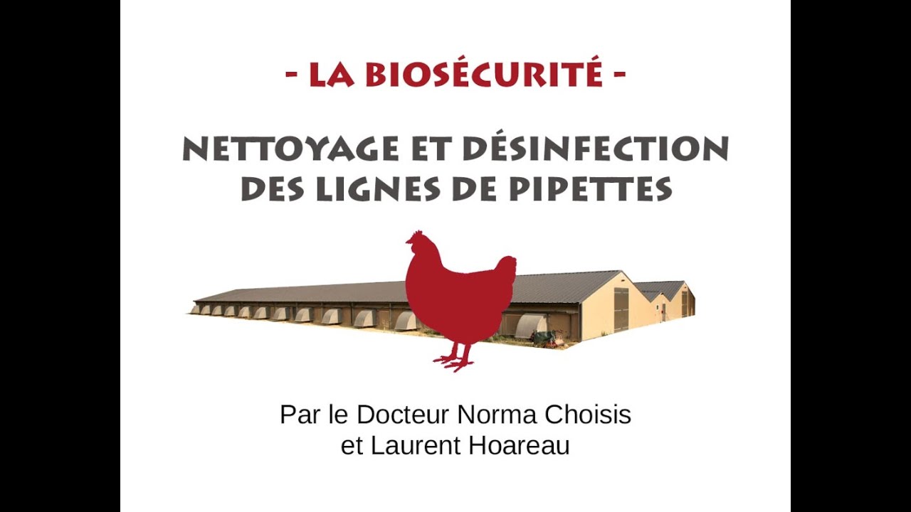 Biosécurité en élevage de volaille