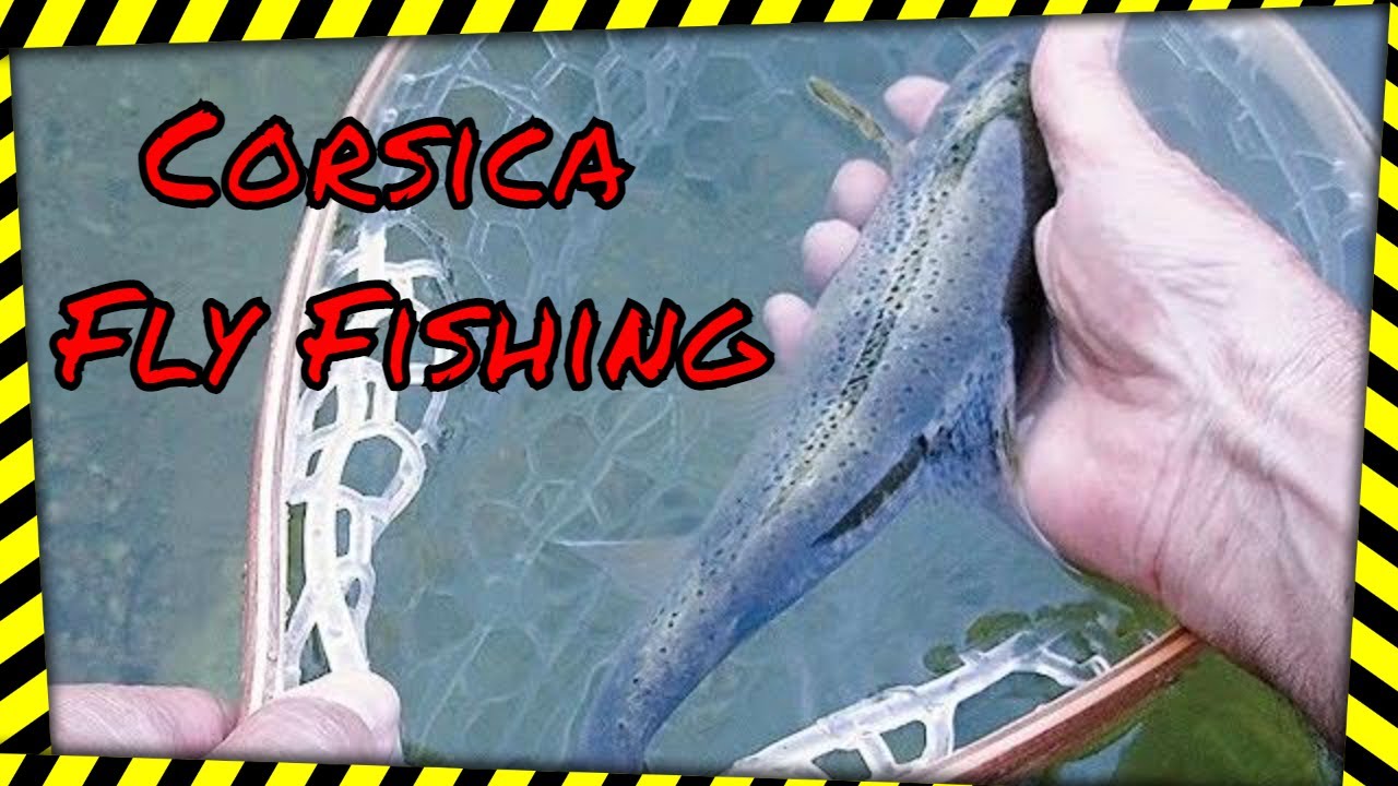 Pêche à la mouche en No Kill en Corse . Fly fishing in Corsica