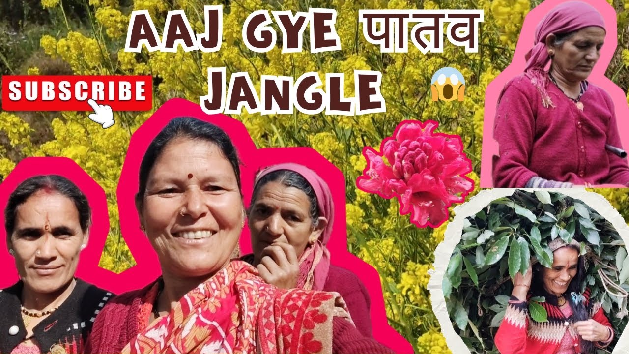 आज गए पातव सोंग लेने,❤️⛰️🙏#phadilifestyle # vlog #phadivibes 