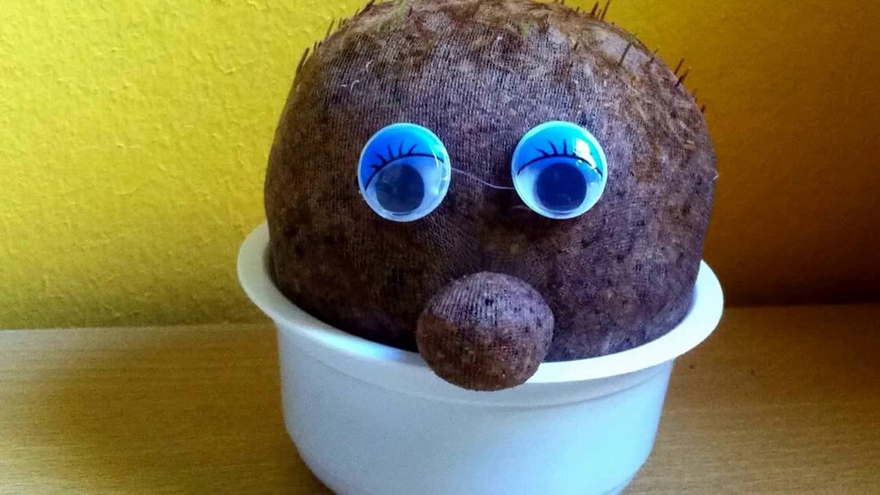 Fűfej