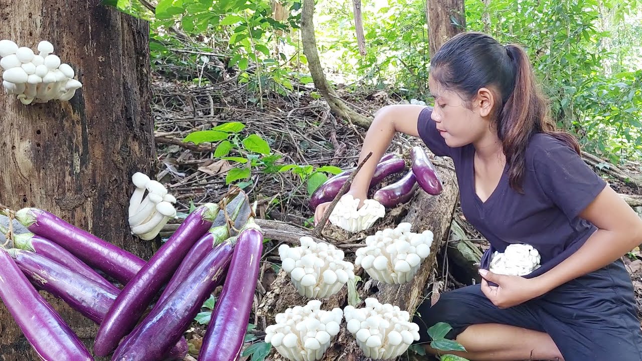 Survival skills in forest: Roasted mushroom spicy with eggplant so delicious food