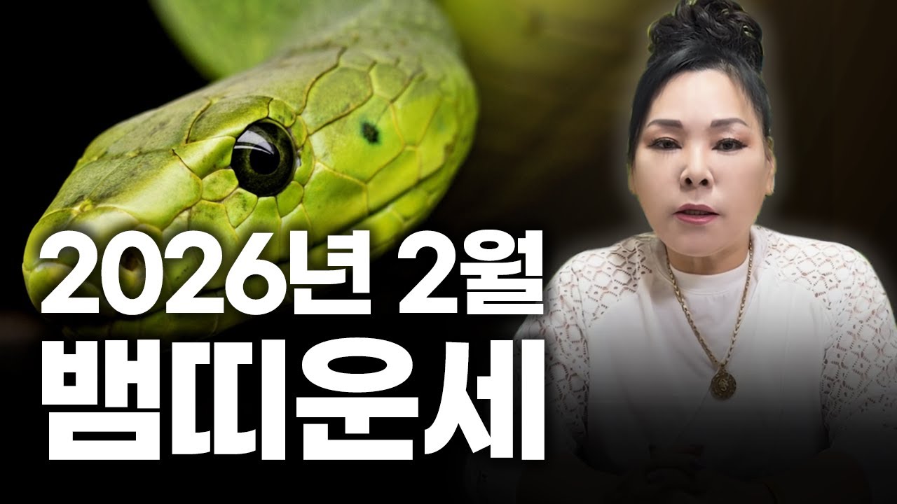 2026년 병오년 양력 2월 뱀띠 운세!ㅣ89년생 77년생 65년생 53년생