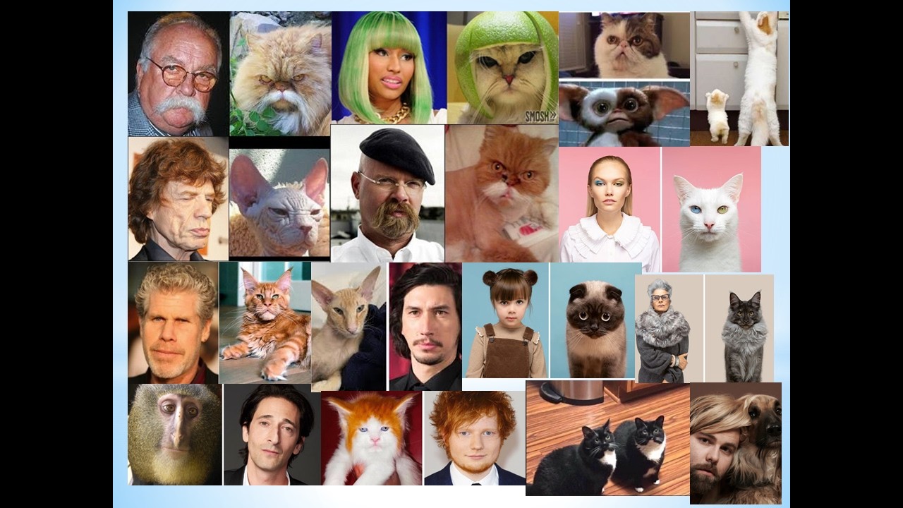 Celebrity Doppelgangers