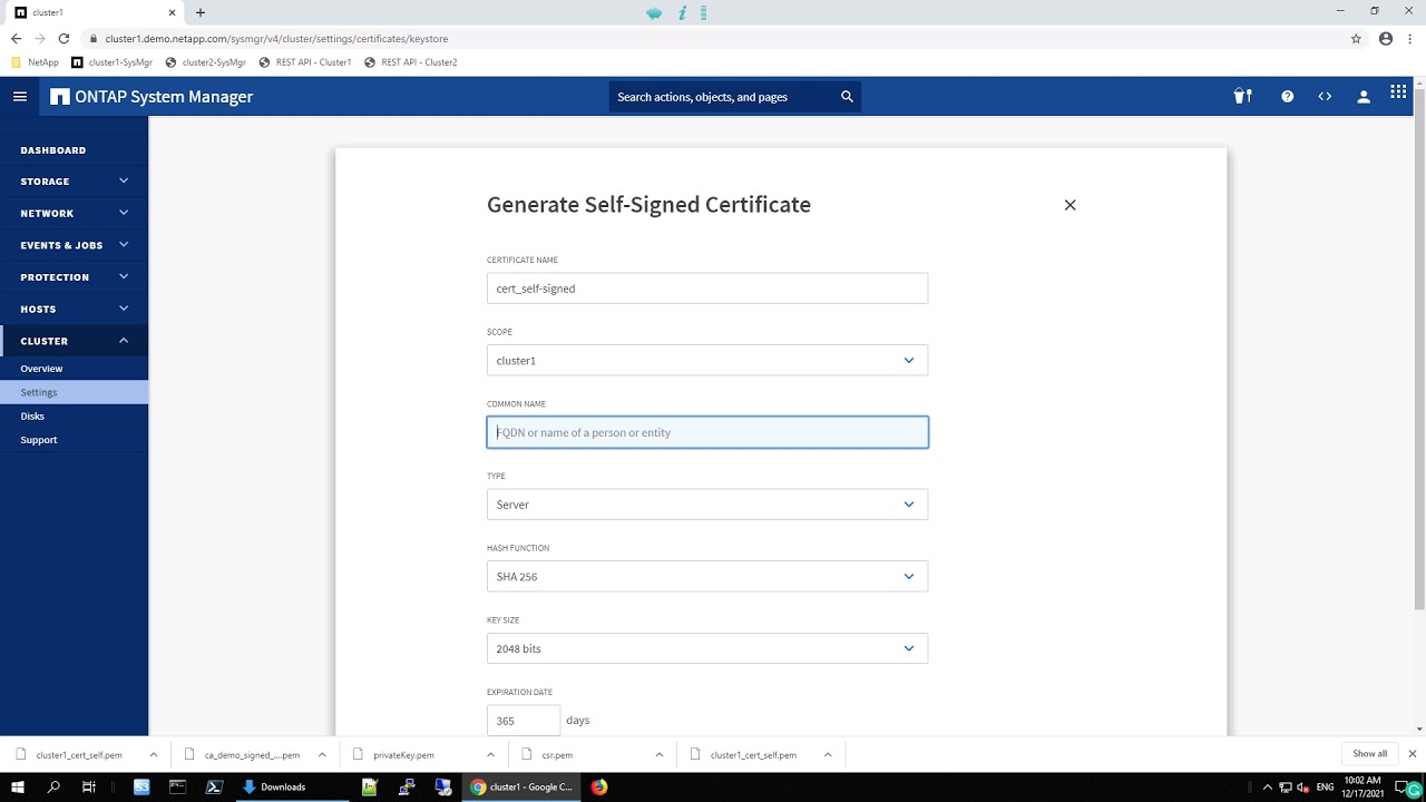 ONTAP 9.10.1 - CA - Case 5 -  - Generate Self-Signed Certificate