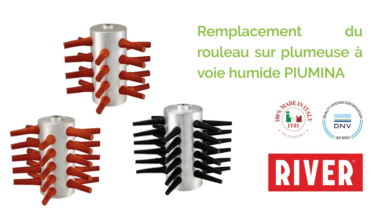 REMPLACEMENT DU ROULEAU