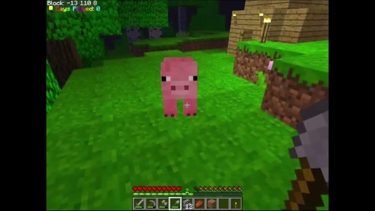 minecraft survival like beta-rock