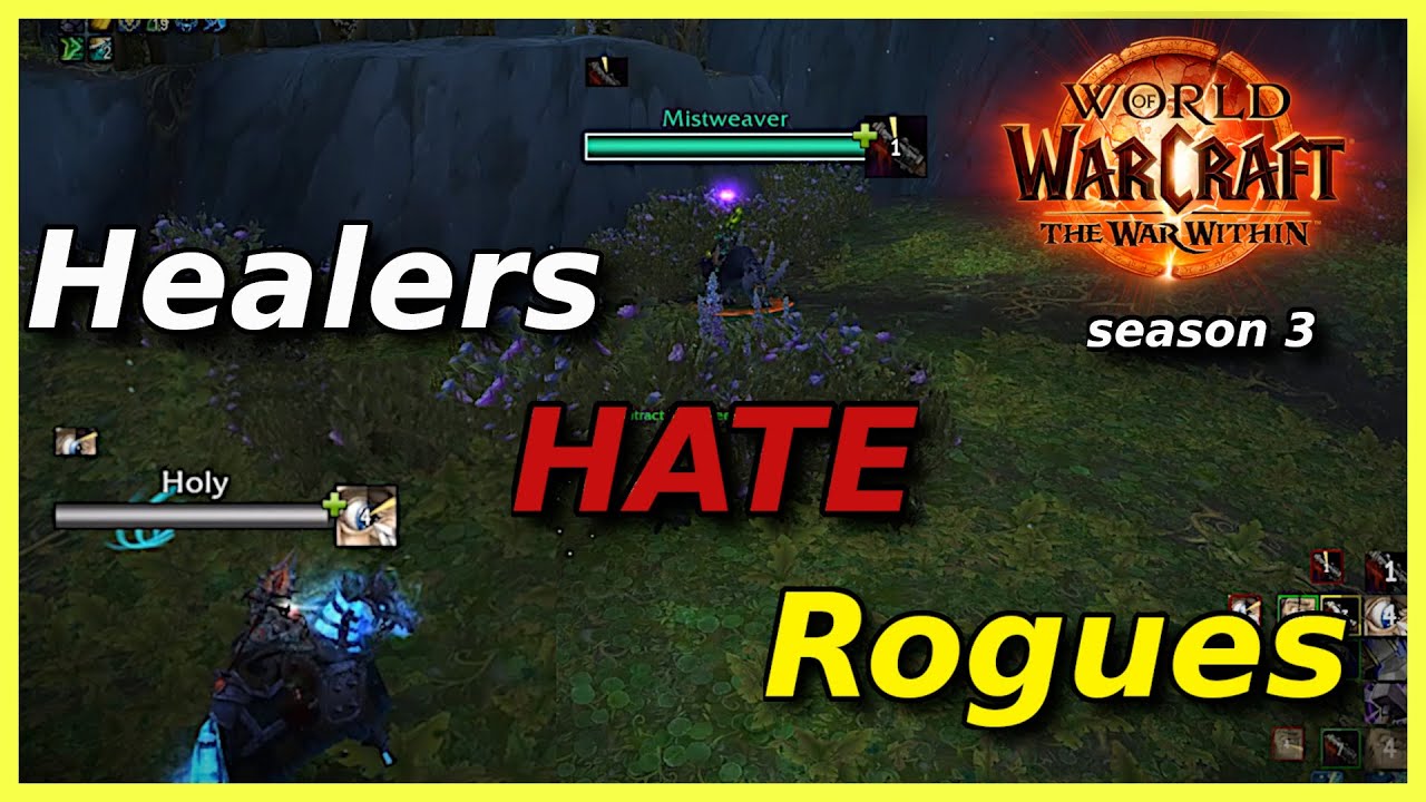 This Is Why Healers Rage at Rogues | Assa Rogue POV | Keexy