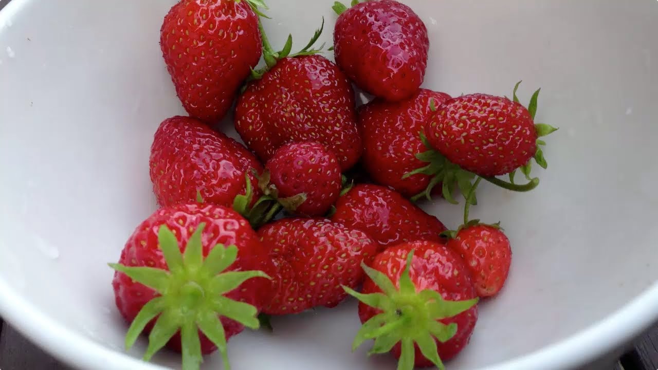 Saving Money in the Garden by Growing High Value Crops