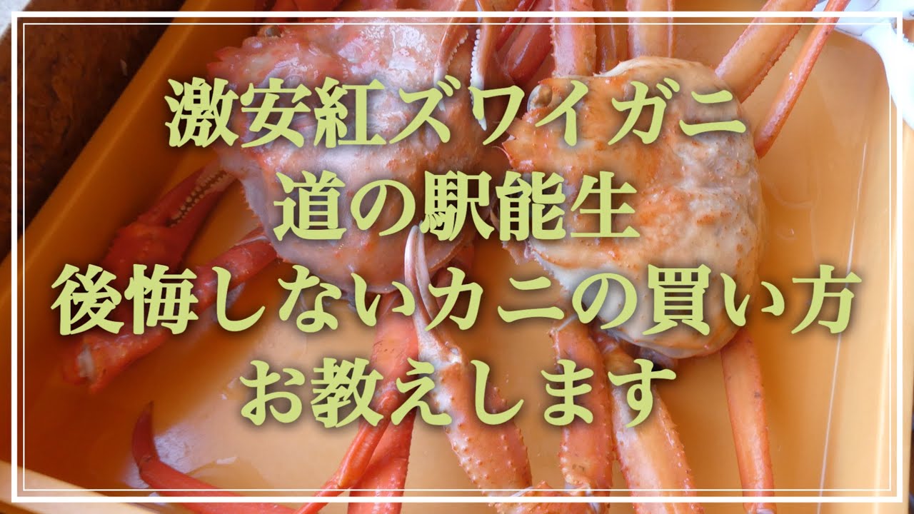24E02道の駅能生で激安紅ズワイガニを食べるコツ#道の駅#カニ#グルメ #gourmet #新潟 #日本海