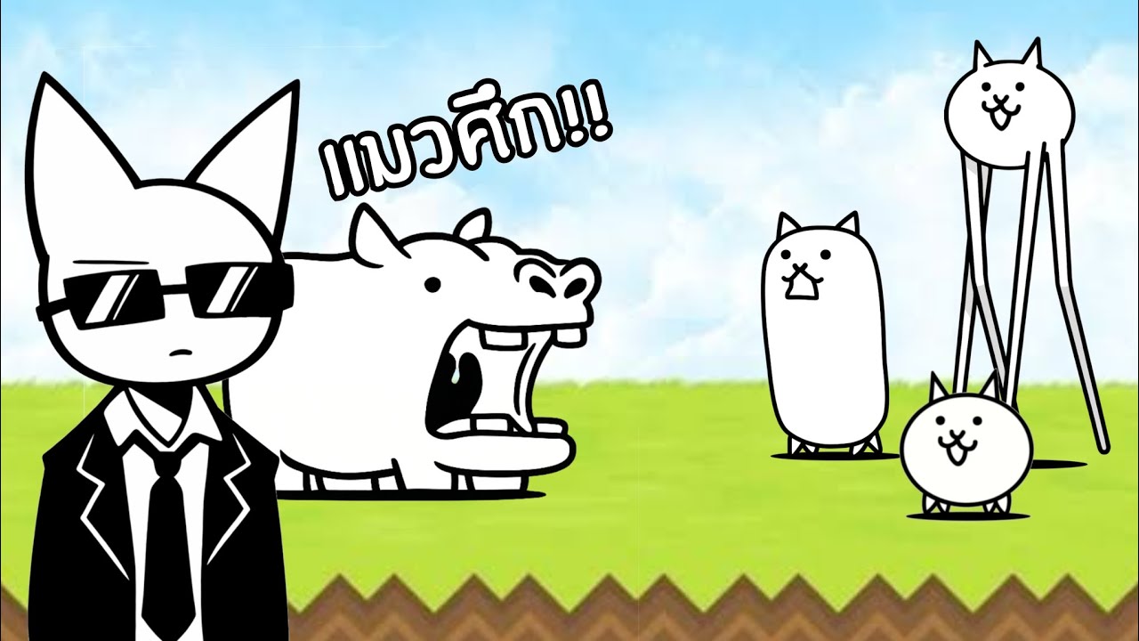 ผมเจอหมูเด้งตอนโตที่ญี่ปุ่นในแมวศึก