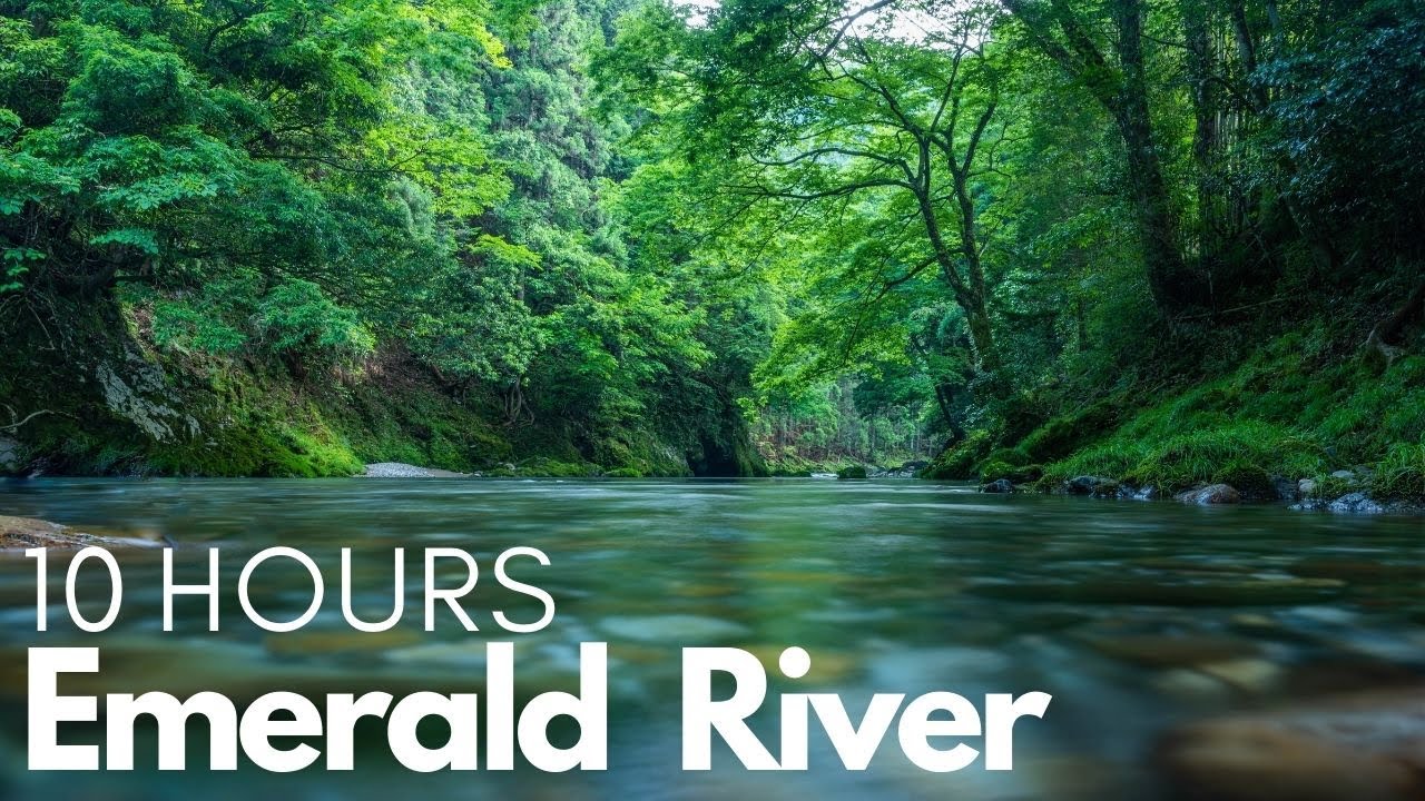 The Trickling Sounds of Emerald Forest River to Calm your Mind - 10 Hours NO Music
