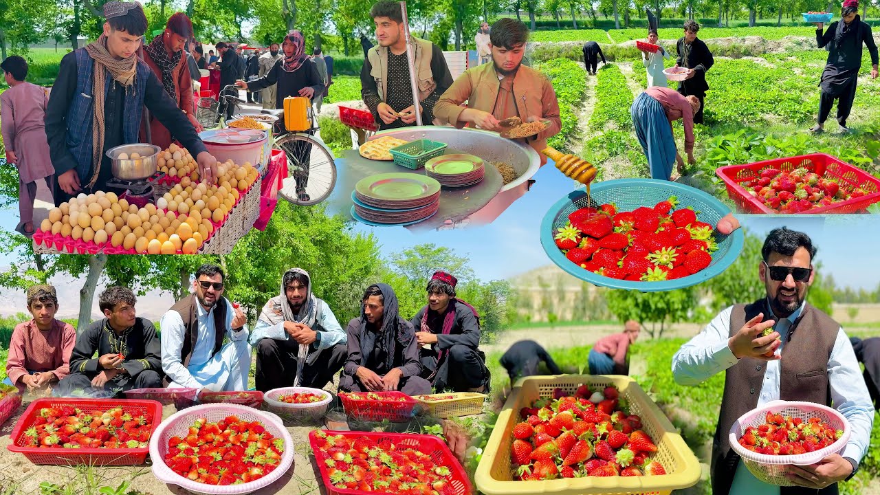 STRAWBERRY GARDEN IN AFGHANISTAN | FRESH FRUIT OF NANGARHAR KHOGYANI | STREET FOOD | KABULI PULAO