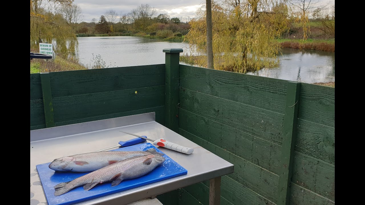 Willow Lakes Rainbow Trout Beautiful day- November 2020