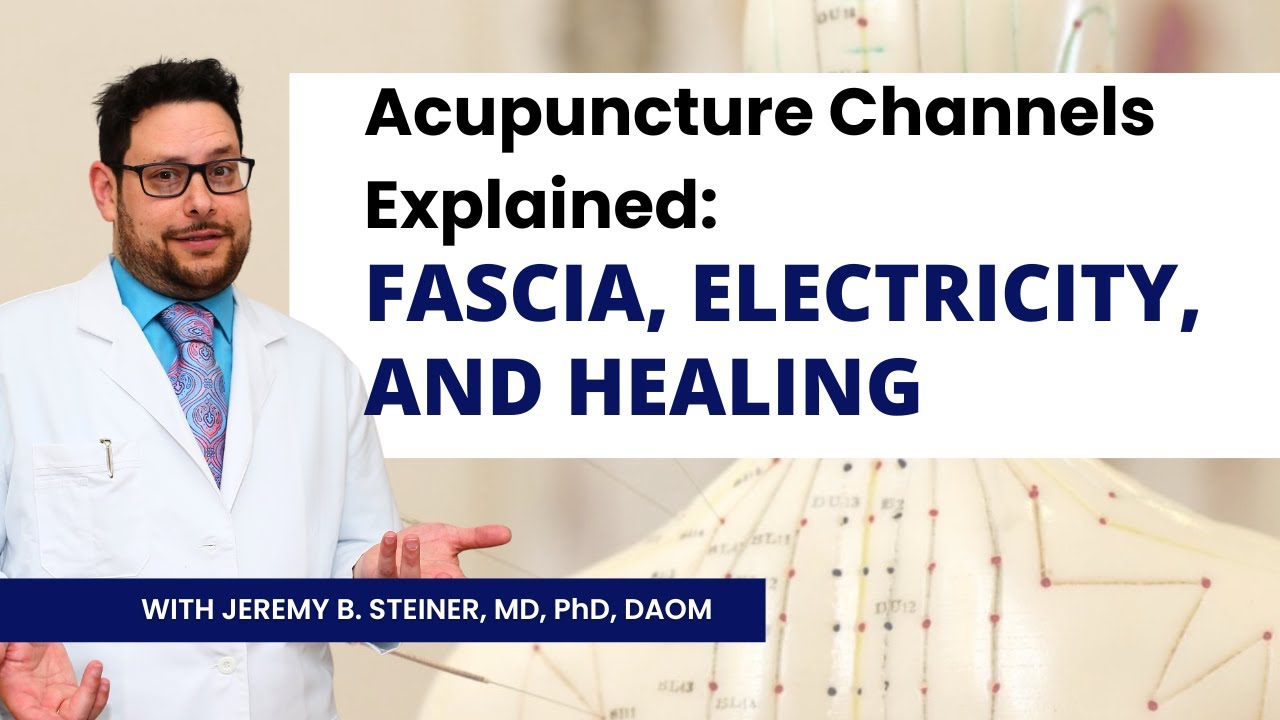 Acupuncture Channels Explained: Fascia, Electricity, and Healing