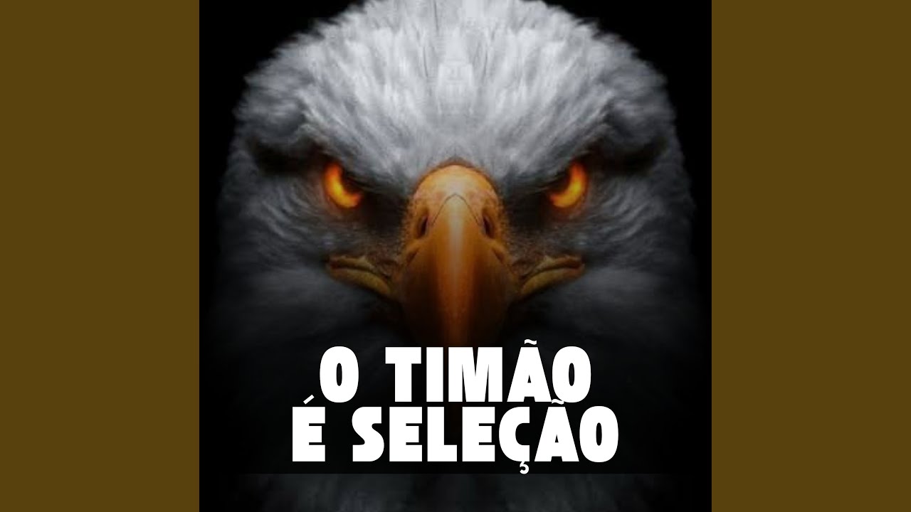 O TIM&Atilde;O &Eacute; SELE&Ccedil;&Atilde;O