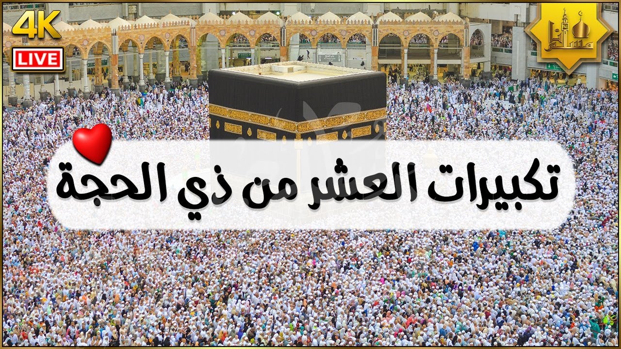 تكبيرات العشر من ذي الحجة بأجمل الأصوات 💛🌼 الله أكبر الله أكبر ولله الحمد كبر وهلل في كل وقت وحين