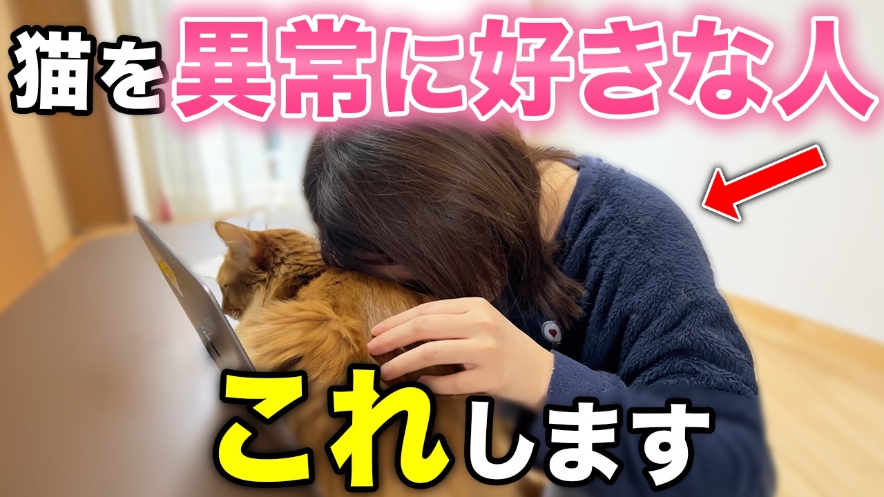 猫好きな人の特徴とあるある行動11選【猫好きの行動心理】