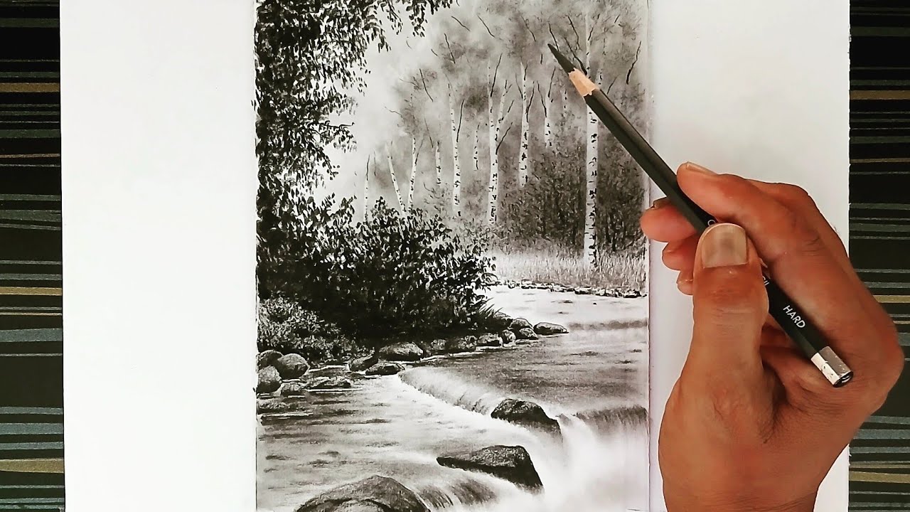 Pencil drawing of a beautiful view of the forest.