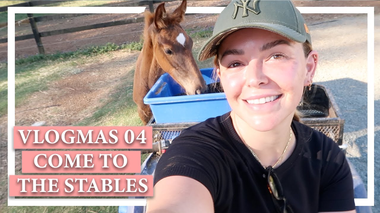 VLOGMAS DAY 4. COME TO THE STABLES WITH ME.