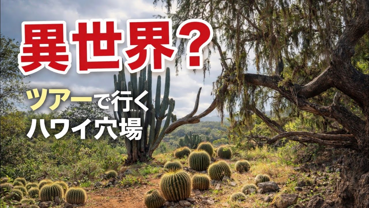 【ハワイ穴場】まるで異世界！ココクレーターボタニカルガーデン・どこでもプライベートツアー