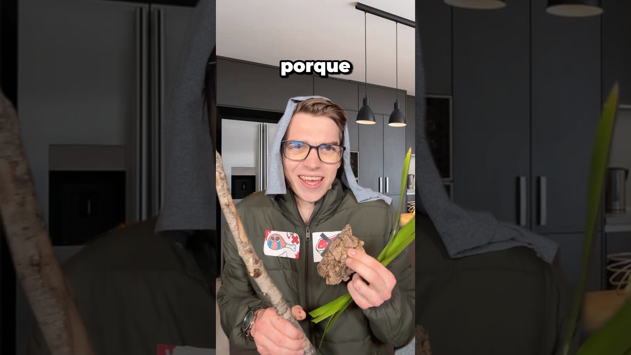 C&oacute;mo Contestar a un Vegano 😎🥬