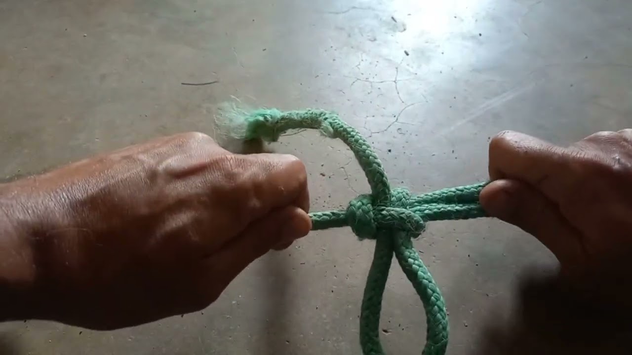 Nó de escota alceado