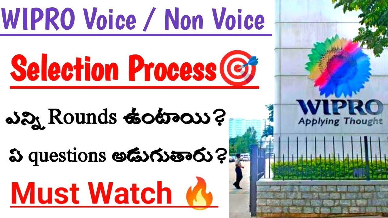 Wipro selection process | wipro non voice jobs selection process | freshers eligible 🔥| Any graduate