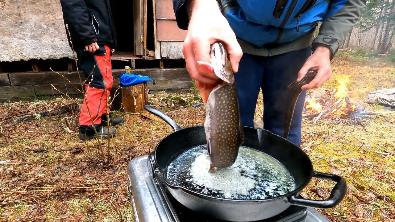Catching BIG Northern New Brunswick Brook Trout * Catch and Cook *