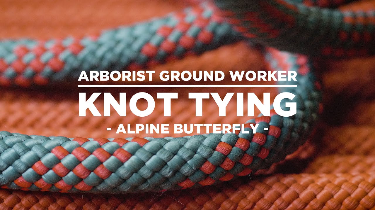 Alpine Butterfly