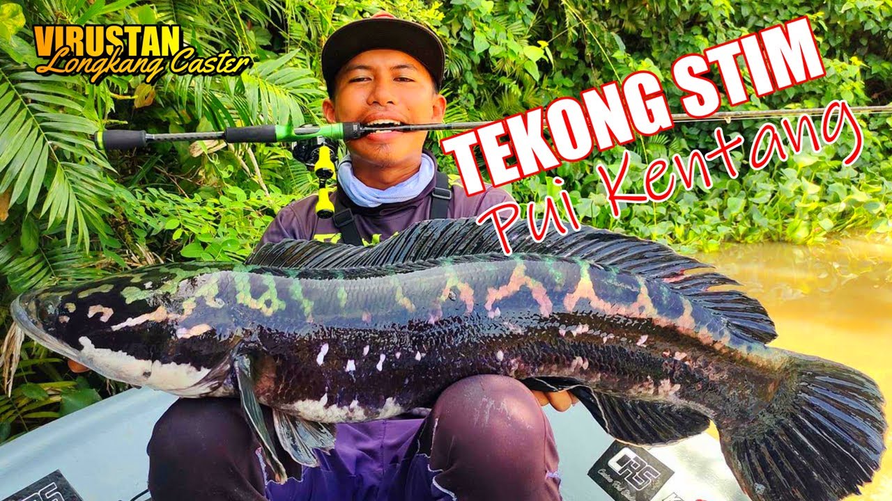 Mama Toman Yang Paling Besar Pernah Aku Tangguk Seumur Hidup