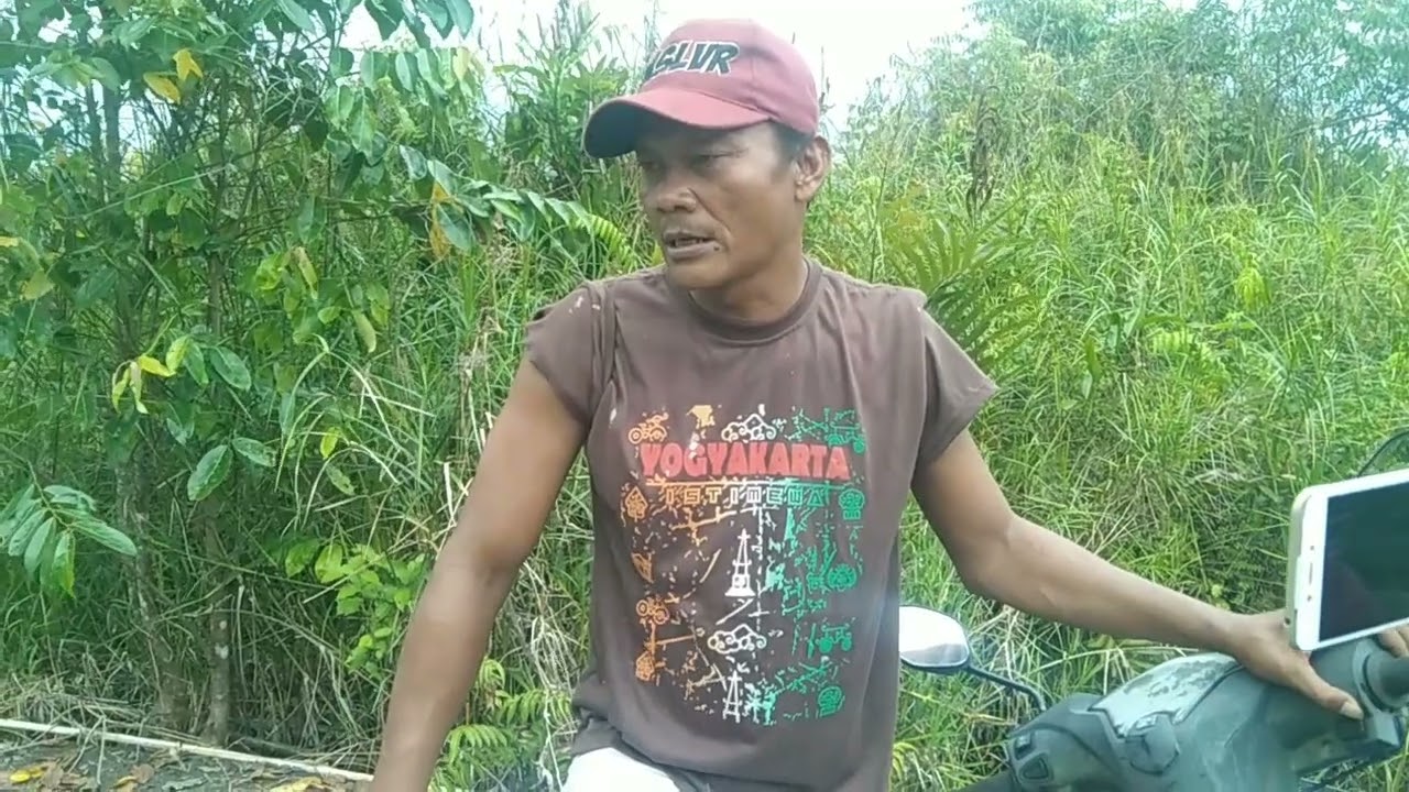 APAKAH ADA SUKU PUNAN DI SELIMAU 2????????