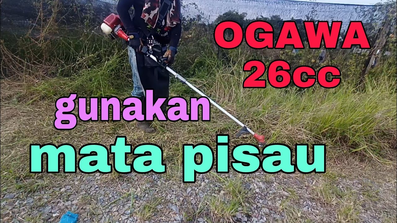 using trimmer OGAWA 26cc with trimmer blade//guna OGAWA 26cc dengan mata pisau..
