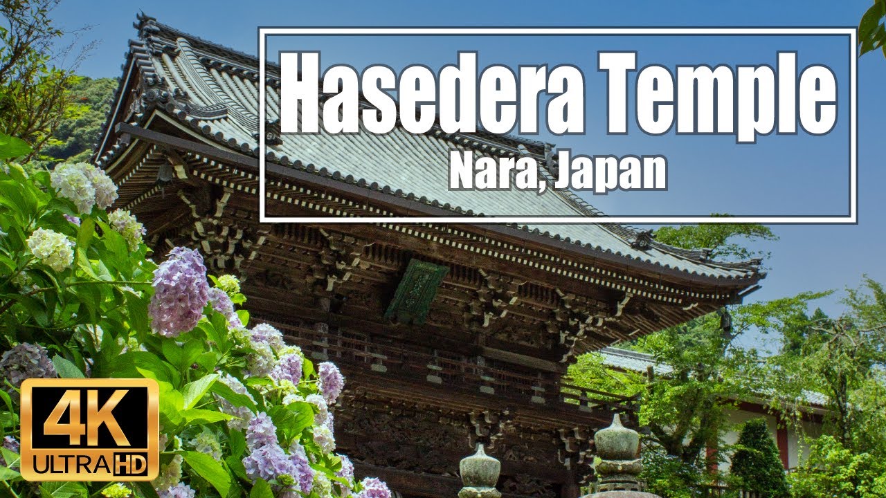 4K Hasedera Temple in Nara, Japan. Walk around the area. Let's go sightseeing at Hasedera Temple!!