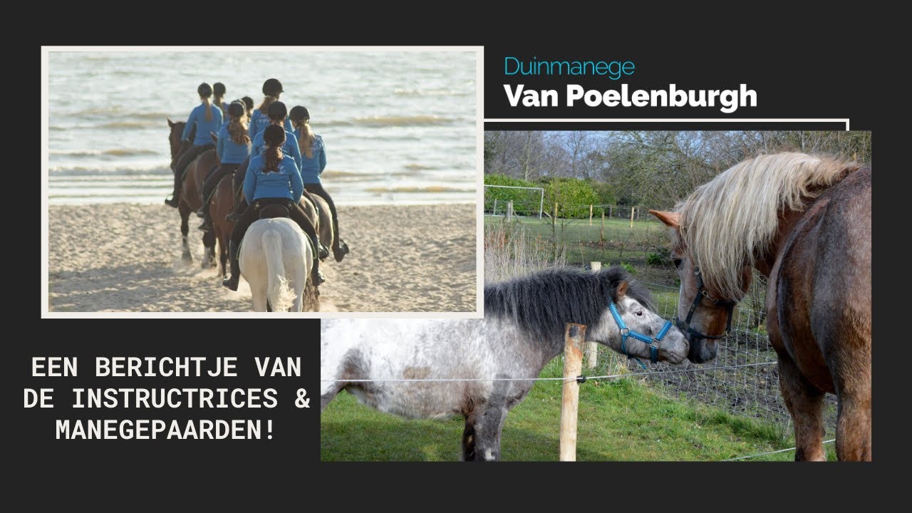 #14 Een berichtje van de instructrices & manegepaarden!