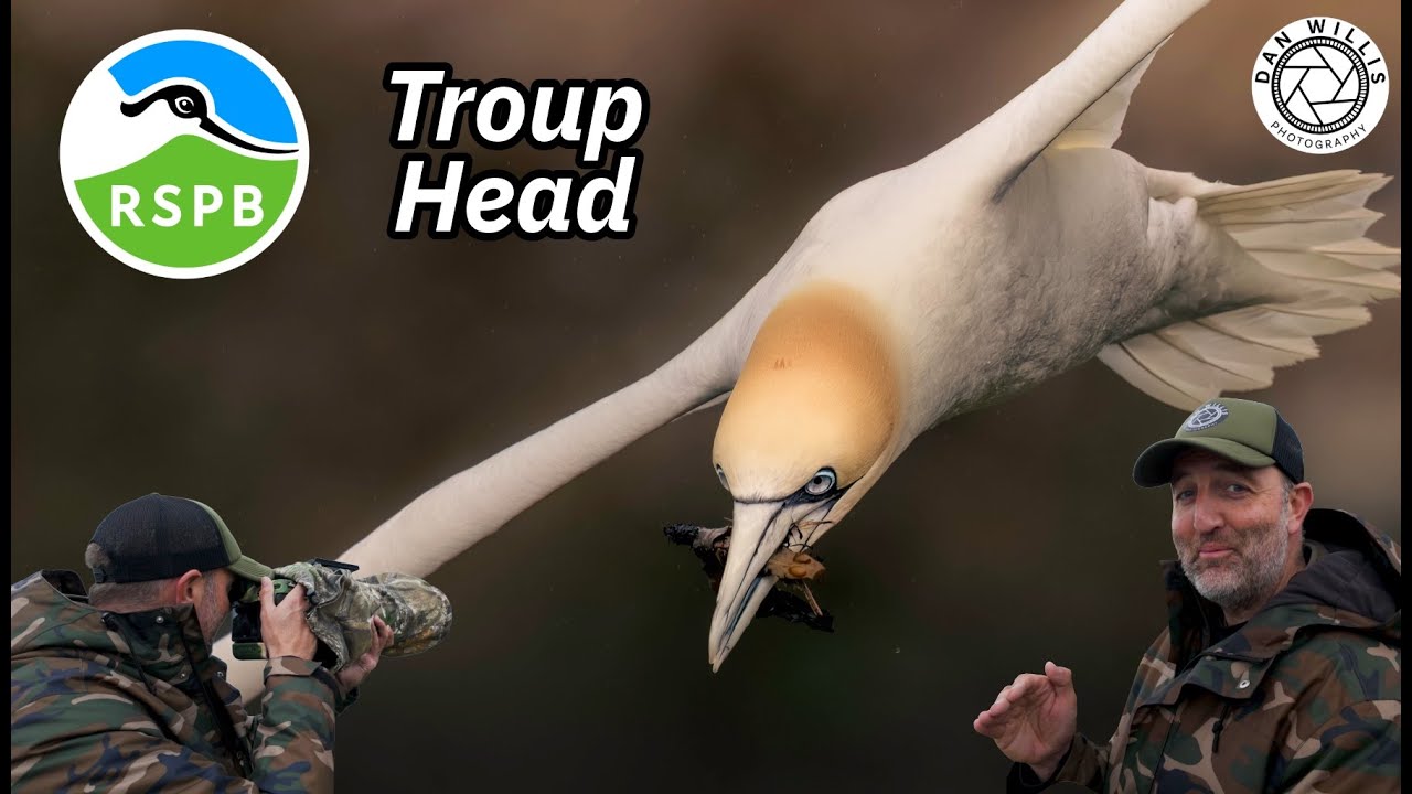 RSPB Troup Head