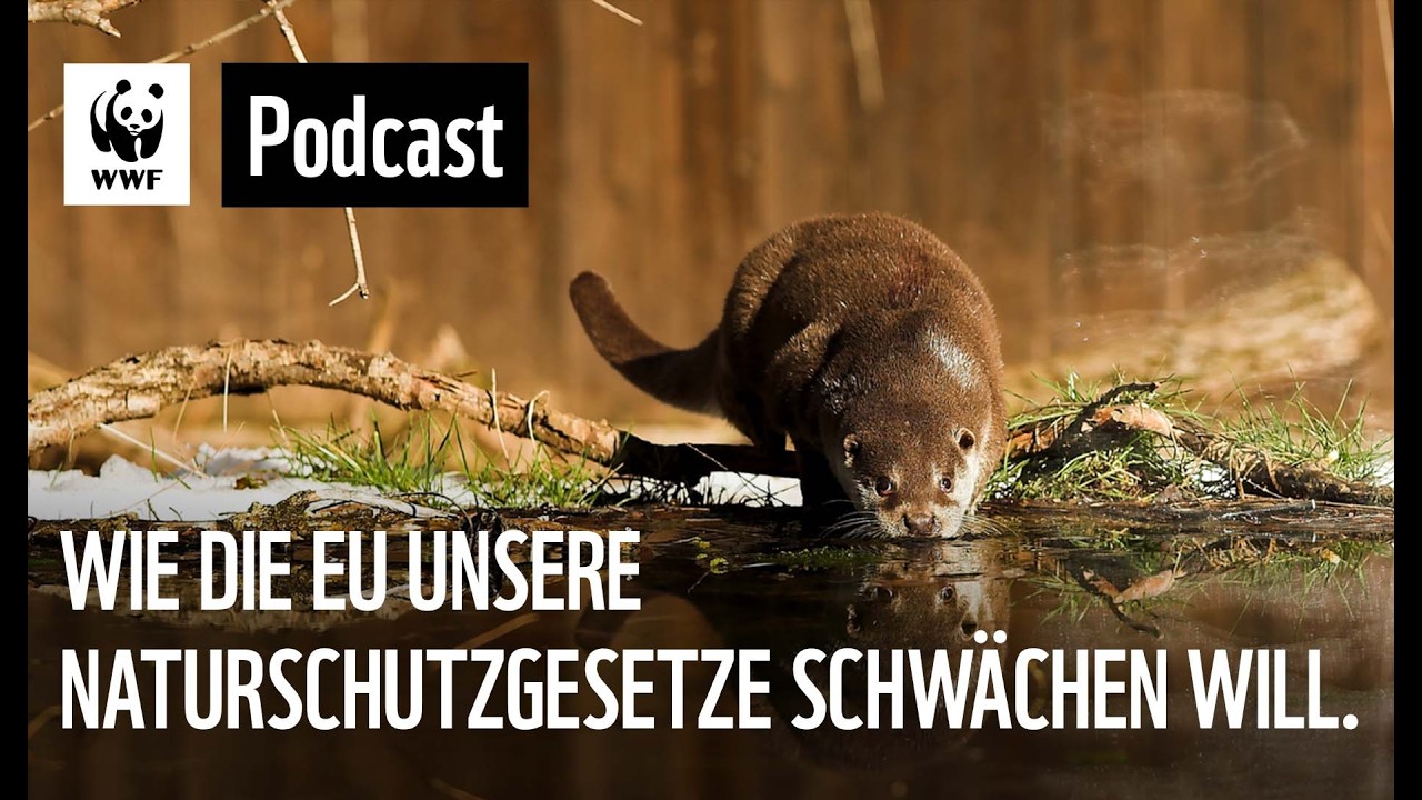 Bürokratieabbau oder doch Naturabbau? Wie die EU unsere Naturschutzgesetze schwächen will.