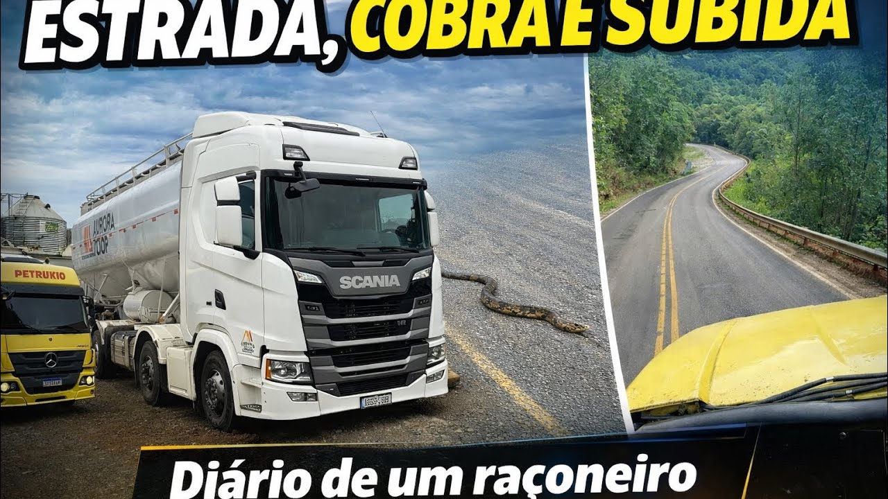 Dia Completo na Estrada: Cobra Cruzando a Pista, Viagens Longas e Subida com Curva