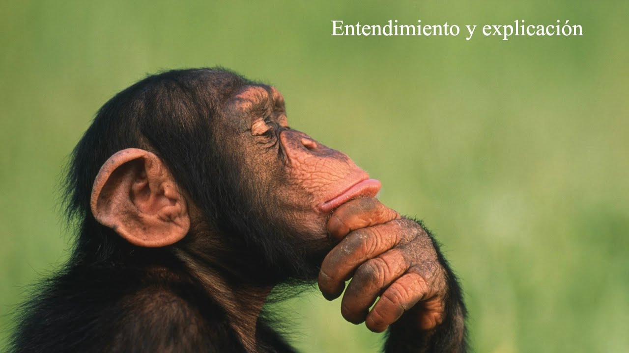 Entendimiento y explicaci&oacute;n