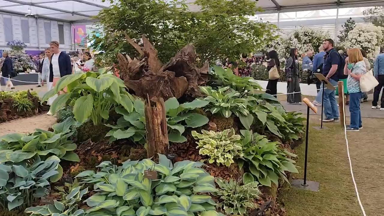 Chelsea Flower Show-WALK WITH ME.
