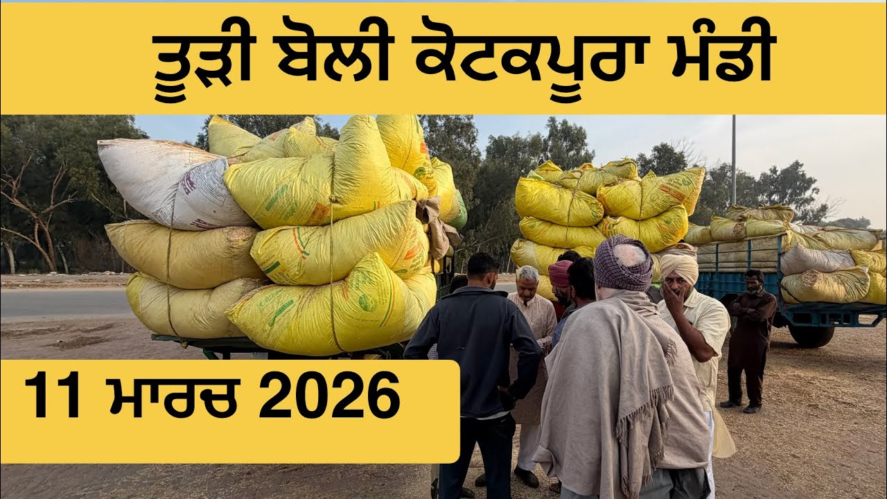 ਤੂੜੀ ਬੋਲੀ ਕੋਟਕਪੂਰਾ ਮੰਡੀ 11 March 2026 । ਤੂੜੀ ਰੇਟ ਅੱਜ ਦਾ । today Todi Kotkapura | Todi rate 