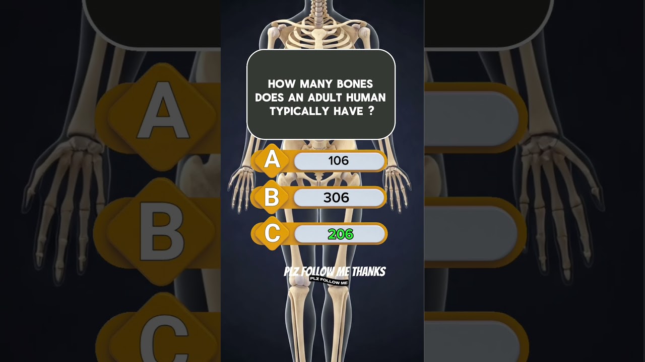How Many Bones In Human Body ? | #quizgames #quiztime #quiz #trivia #questions